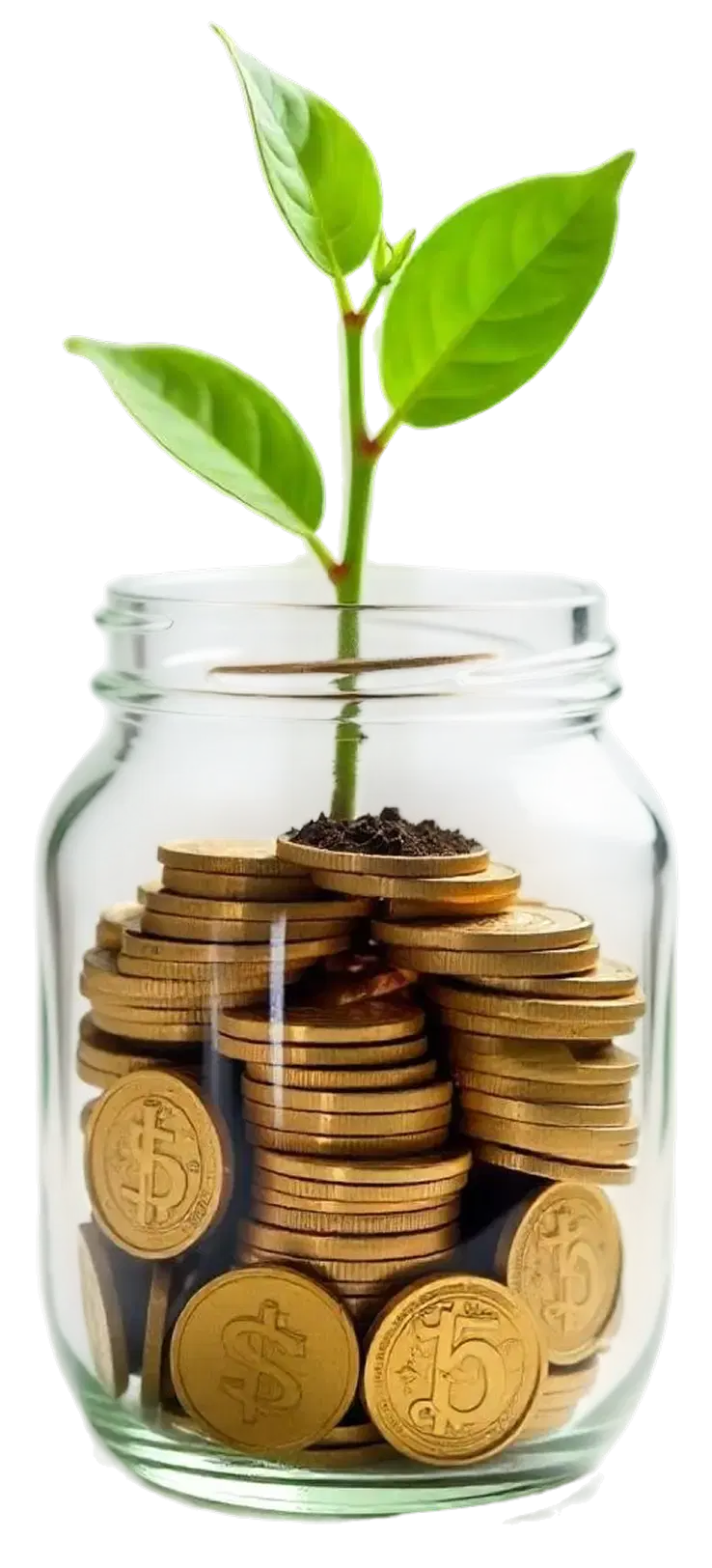 Financial advisor in red sweater representing Midfin360's wealth management service